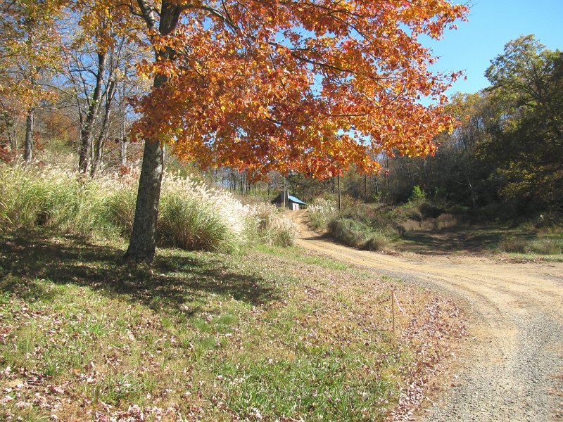 weekof110110_mountain chapel.JPG
